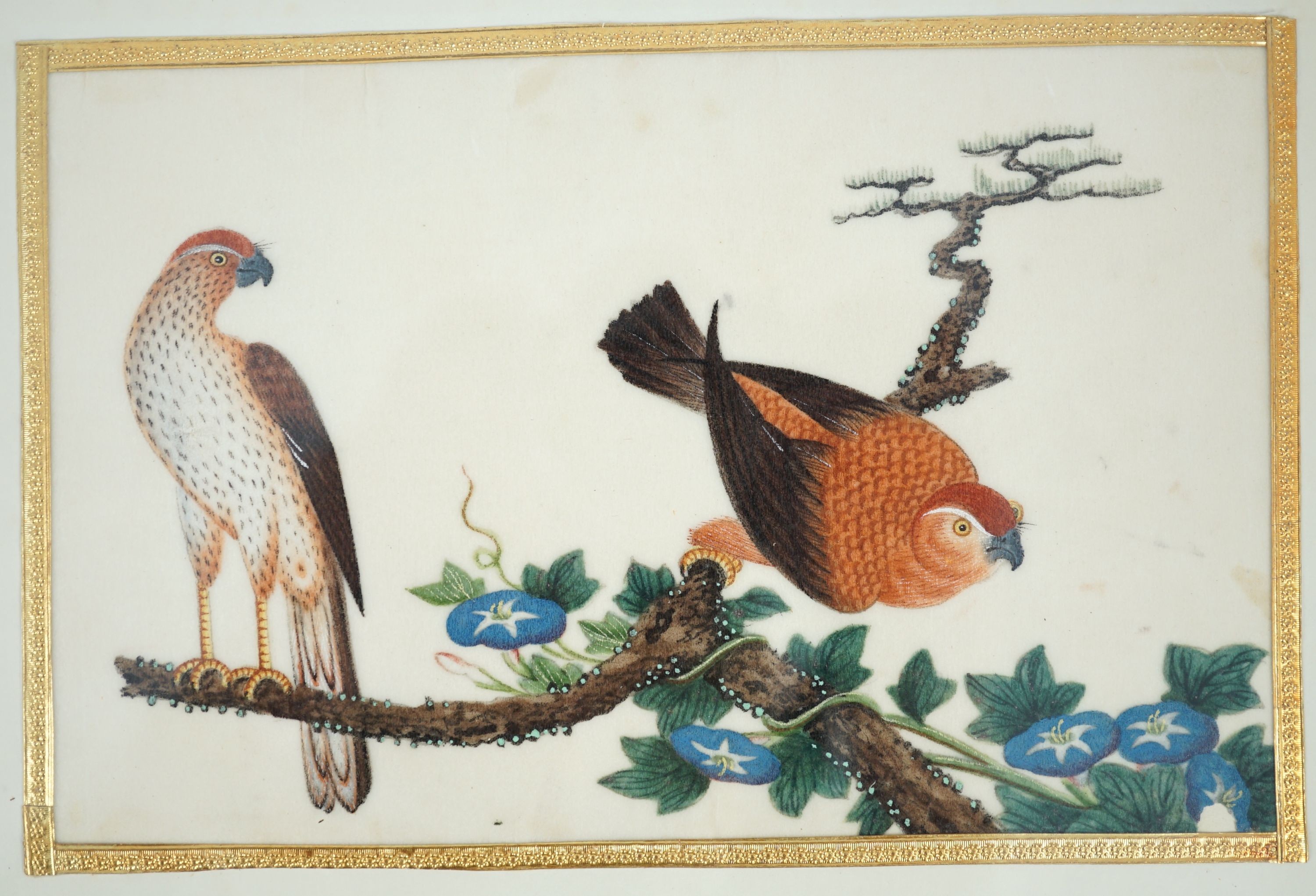 A set of 16 Chinese pith paintings of birds and flowers, mid 19th century, Largest Image 12cm x 18cm